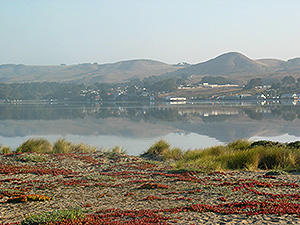 Bodega Bay