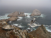 Farallon Islands