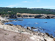 Salt Point