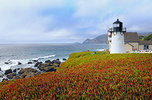 Montara Lighthouse - photo copyright C Roy Yokingco 