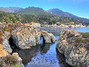 Point Lobos