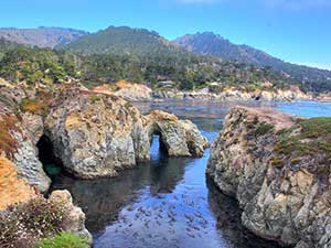 Point Lobos