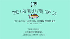 anim-grist