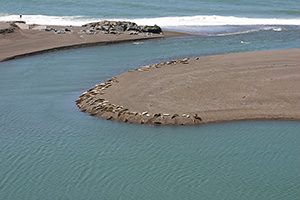 Russian River - photo copyright David A. Hofmann